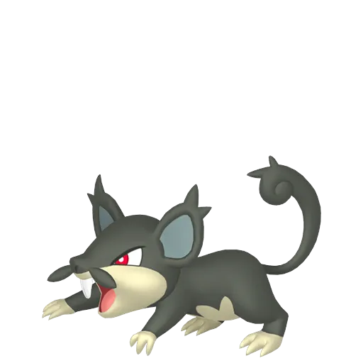 random generated pokemon rattata-alola