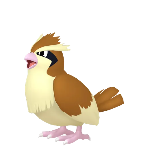 random generated pokemon pidgey