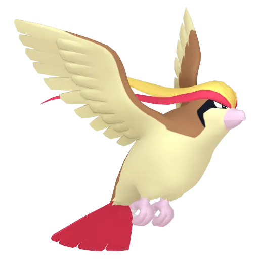 random generated pokemon pidgeot
