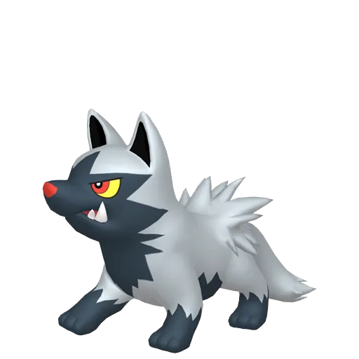 random generated pokemon poochyena