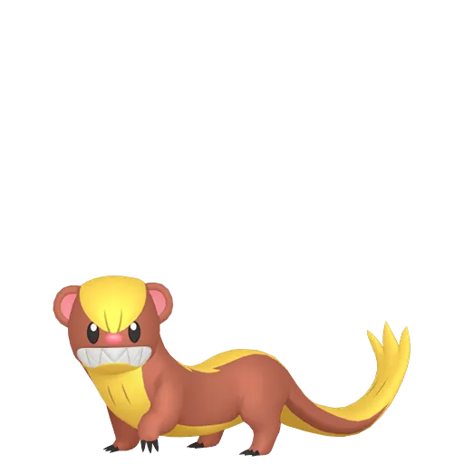random generated pokemon yungoos